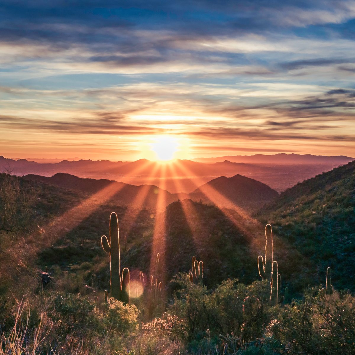 New Mexico desert landscape at sunset